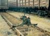 Лобур Руслан, користувач 1ua 